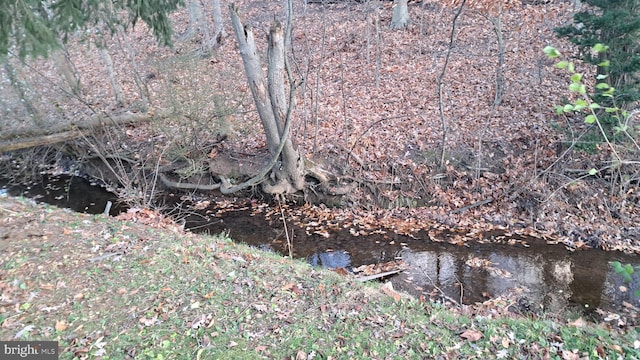 view of nature featuring a water view