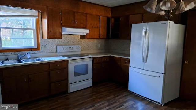 kitchen featuring decorative backsplash, white appliances, dark wood-type flooring, and sink