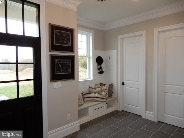 mudroom featuring a wealth of natural light, crown molding, and dark tile patterned flooring