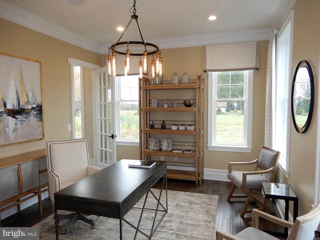 interior space featuring dark wood-type flooring and ornamental molding