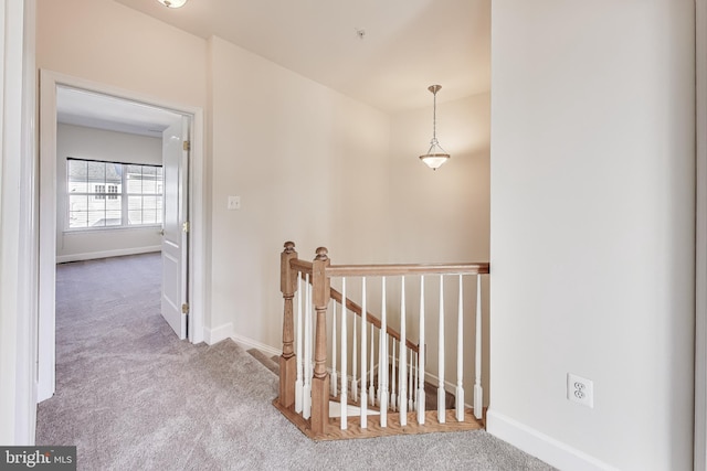 hallway featuring carpet