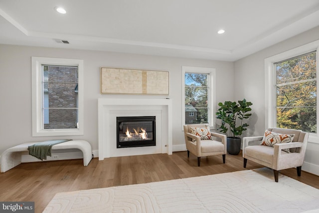 living area with light wood-type flooring and a tray ceiling