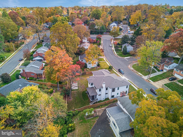 bird's eye view