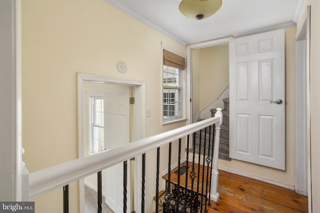 hallway with hardwood / wood-style flooring and ornamental molding