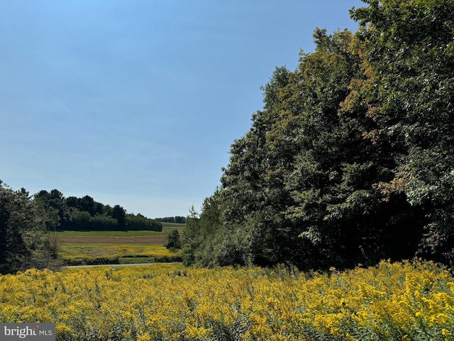 Listing photo 3 for 443 S Branch Rd, Coudersport PA 16915