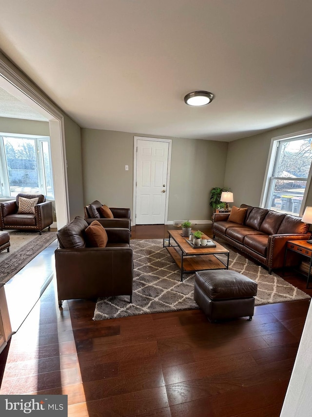 living room with wood-type flooring