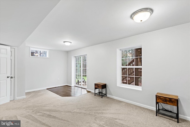 living area featuring carpet