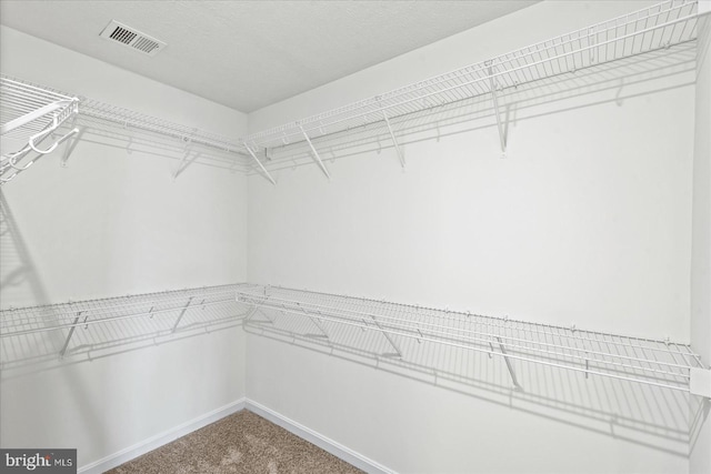 walk in closet with carpet floors