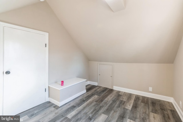 bonus room featuring lofted ceiling and hardwood / wood-style flooring