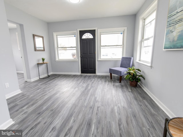 entryway with hardwood / wood-style flooring