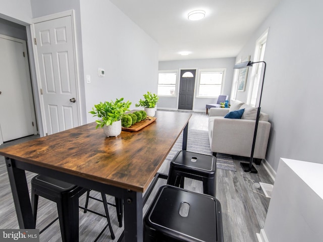 dining area with light hardwood / wood-style floors