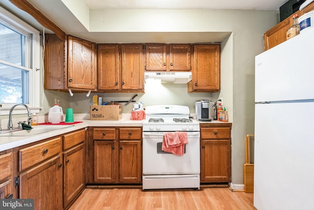 kitchen with light wood-type flooring, white appliances, and sink