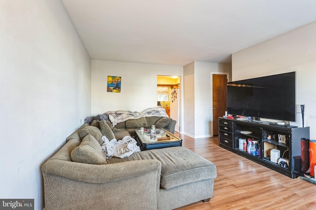 living room with hardwood / wood-style floors