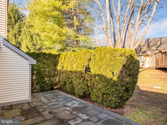 view of yard featuring a patio area