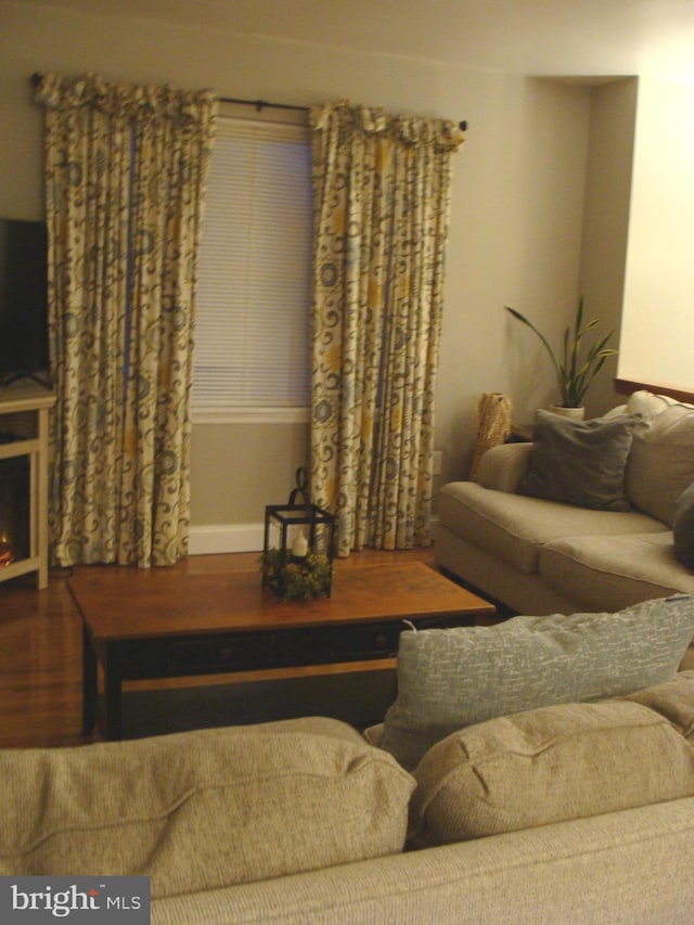 living room with hardwood / wood-style floors