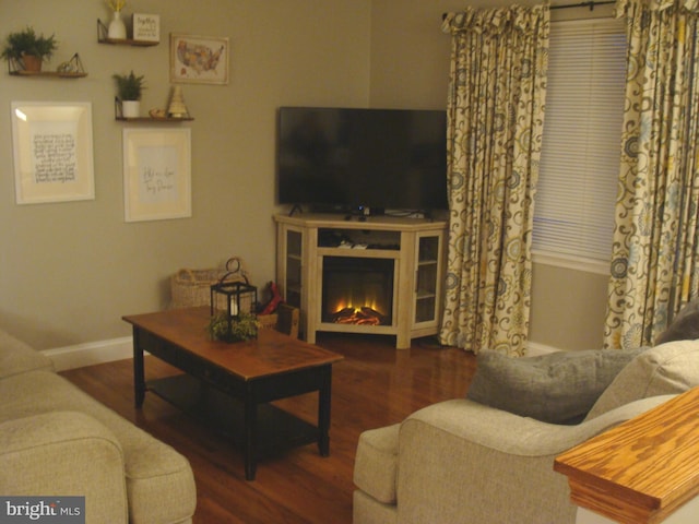 living room featuring hardwood / wood-style flooring