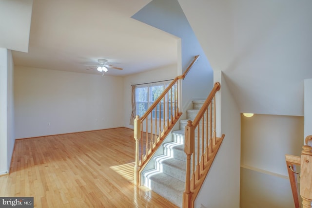 staircase with wood-type flooring and ceiling fan