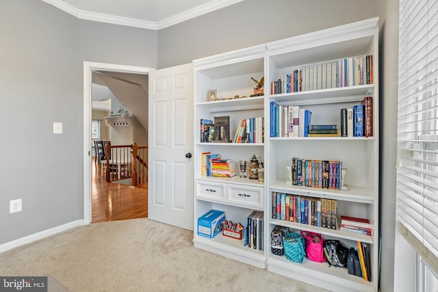 playroom featuring crown molding and light carpet