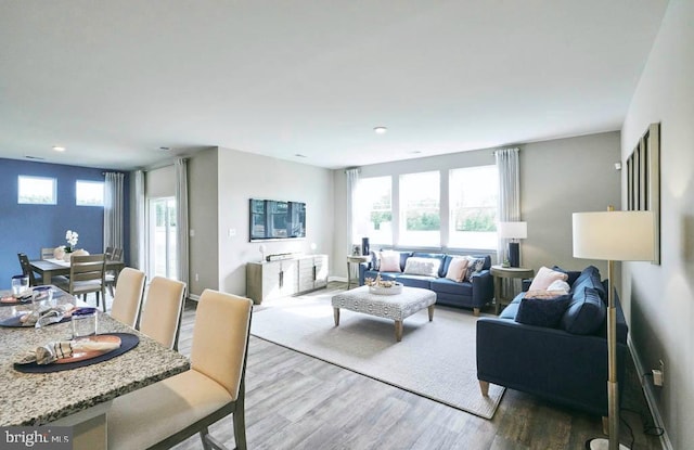 living room featuring wood-type flooring