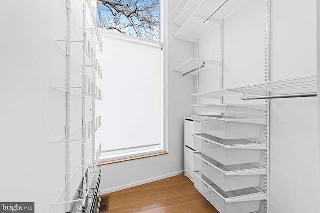 walk in closet featuring wood finished floors