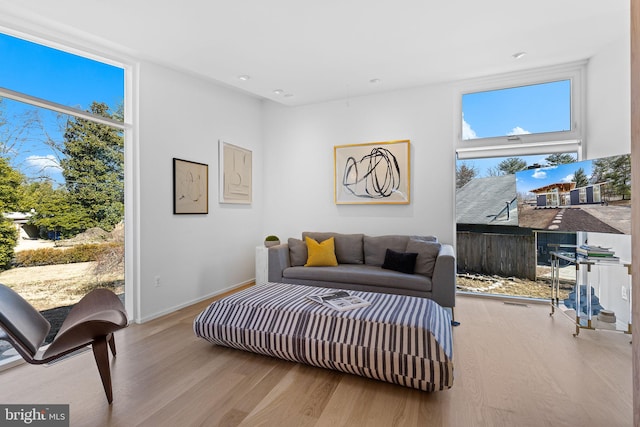 living area featuring baseboards, wood finished floors, a wealth of natural light, and floor to ceiling windows