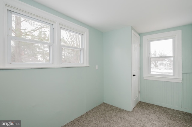 carpeted empty room featuring plenty of natural light