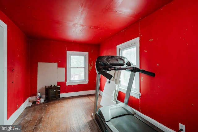 exercise area featuring hardwood / wood-style flooring