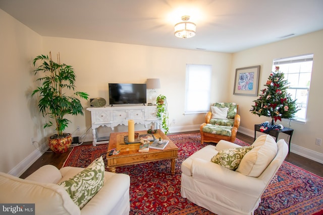 living room featuring a wealth of natural light and wood-type flooring