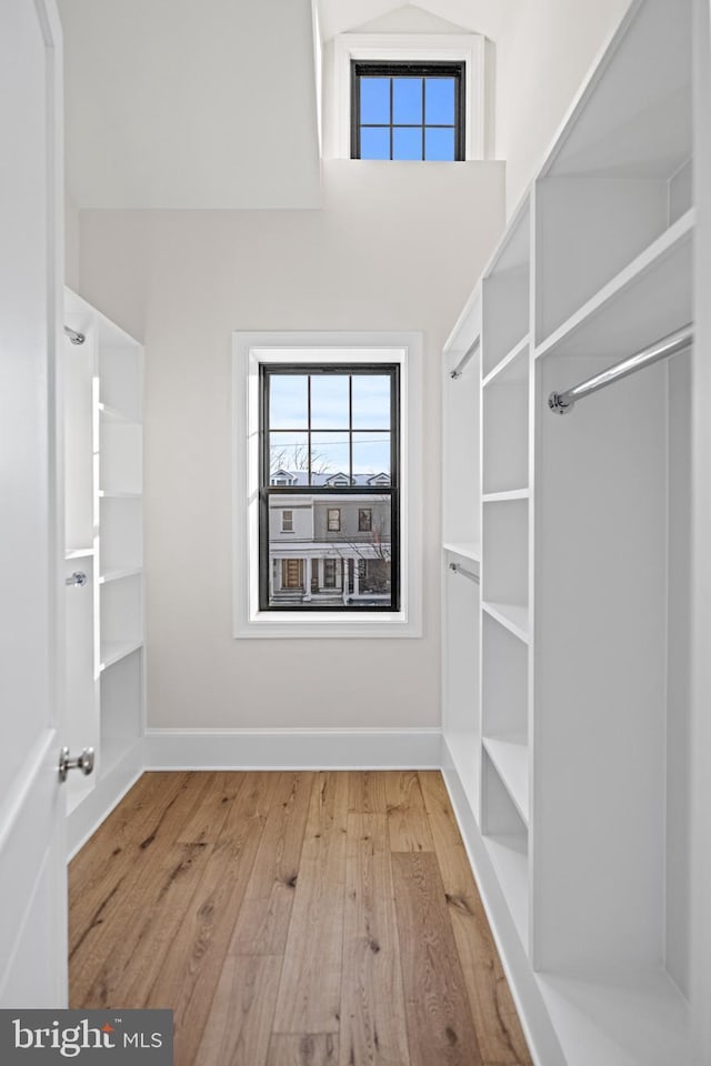 spacious closet featuring light hardwood / wood-style flooring