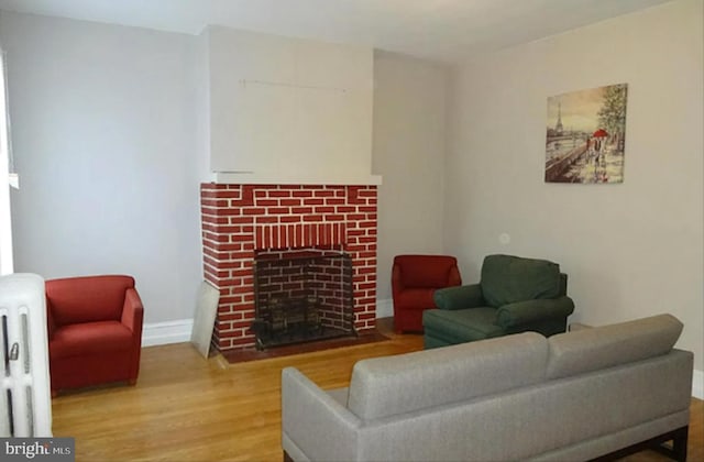 living room featuring light wood-type flooring and radiator