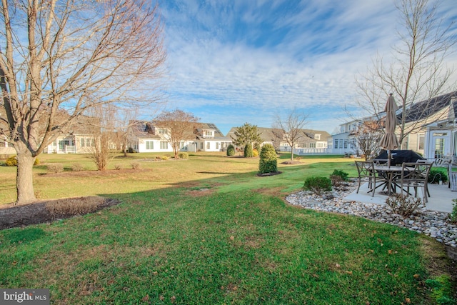 view of yard featuring a patio