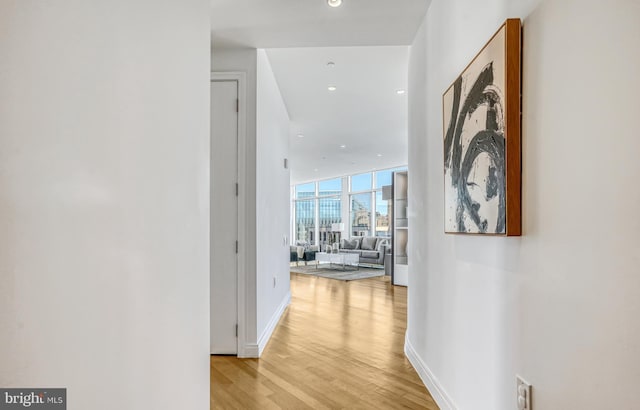 hallway with light hardwood / wood-style flooring and a wall of windows