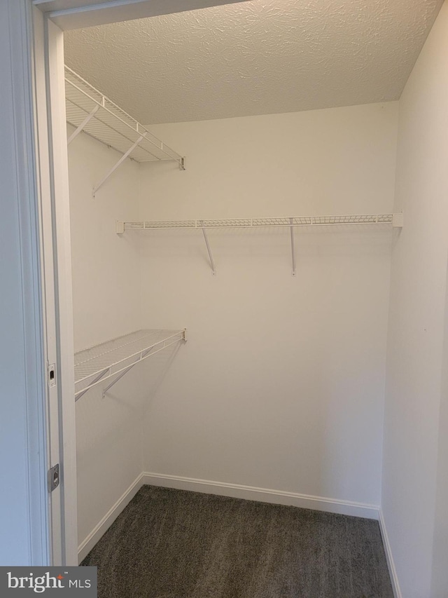 spacious closet with dark carpet