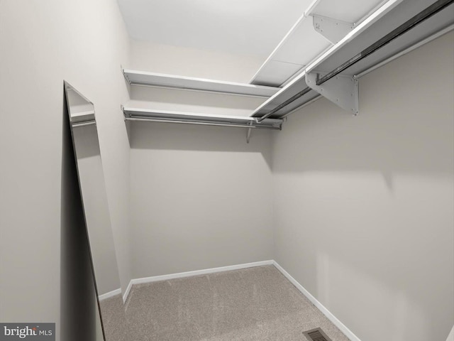 spacious closet with visible vents and carpet flooring