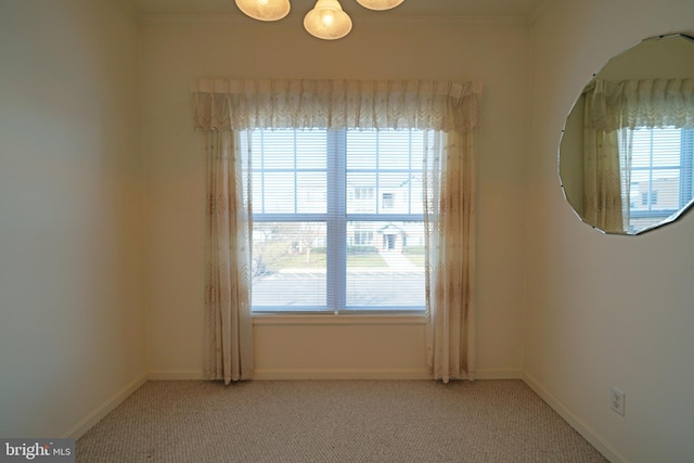 unfurnished room featuring light carpet and crown molding