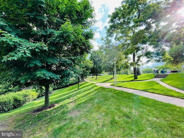 view of home's community featuring a lawn