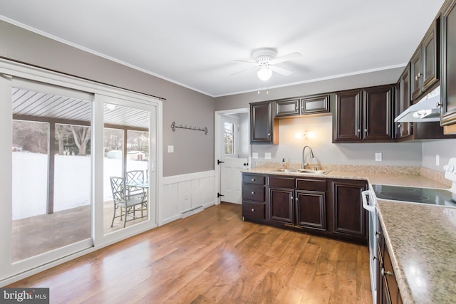 kitchen featuring white electric range, sink, light hardwood / wood-style flooring, ornamental molding, and dark brown cabinetry