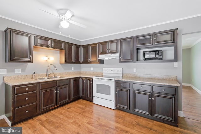 kitchen featuring dark brown cabinetry, sink, white range with electric cooktop, light hardwood / wood-style floors, and ornamental molding