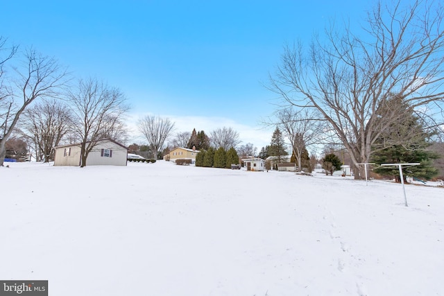 view of yard covered in snow