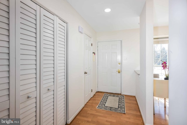 entryway featuring wood-type flooring