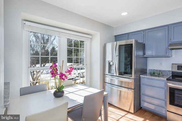 kitchen with hardwood / wood-style floors, blue cabinetry, and stainless steel appliances