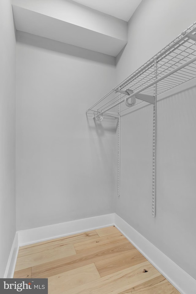 walk in closet with hardwood / wood-style flooring