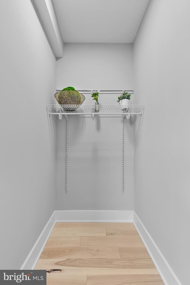 spacious closet with wood-type flooring