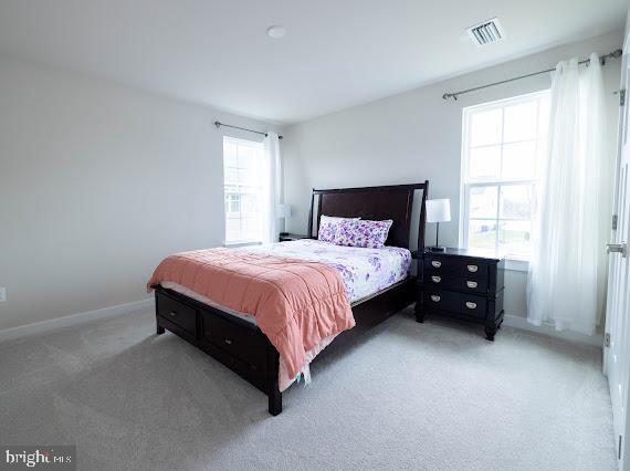 bedroom with carpet floors