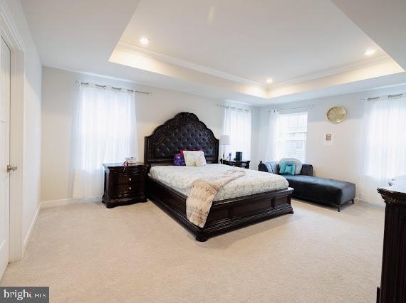 bedroom with light carpet and a tray ceiling