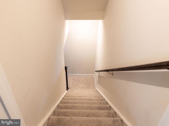 stairway featuring carpet