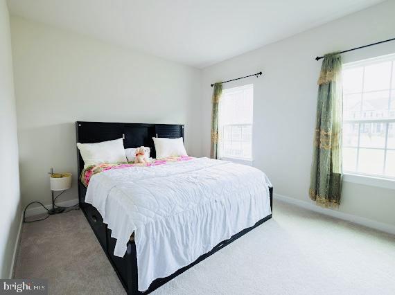 carpeted bedroom featuring multiple windows