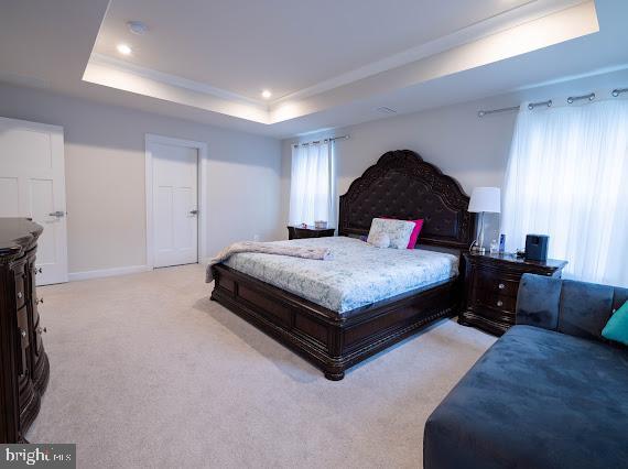 bedroom with light colored carpet and a raised ceiling