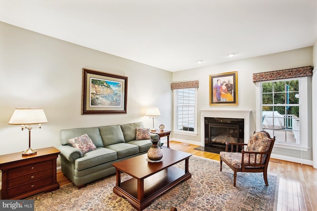 living room featuring light hardwood / wood-style flooring