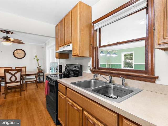 kitchen featuring ceiling fan, light hardwood / wood-style floors, sink, and black electric range